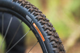 Delium Tires - Rugged Adventure Radial