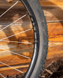 Berd / Erase / HAWK30 Gold 29" Cross-Country Carbon Wheelset - Bikecomponents.ca