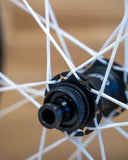 Berd / Erase / HAWK30 Gold 29" Cross-Country Carbon Wheelset - Bikecomponents.ca