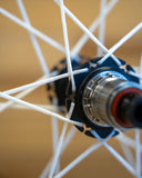 Berd / Erase / HAWK30 Gold 29" Cross-Country Carbon Wheelset - Bikecomponents.ca