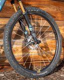 Berd / Erase / HAWK30 Gold 29" Cross-Country Carbon Wheelset - Bikecomponents.ca