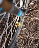 Berd / Erase / HAWK30 Gold 29" Cross-Country Carbon Wheelset - Bikecomponents.ca