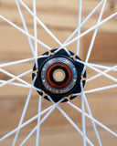 Berd / Erase / HAWK30 Gold 29" Cross-Country Carbon Wheelset - Bikecomponents.ca