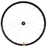 Berd / Erase / HAWK30 Gold 29" Cross-Country Carbon Wheelset - Bikecomponents.ca