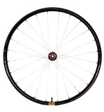 Berd / Erase / HAWK30 Gold 29" Cross-Country Carbon Wheelset - Bikecomponents.ca