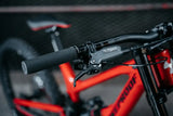 Nukeproof Dissent Carbon