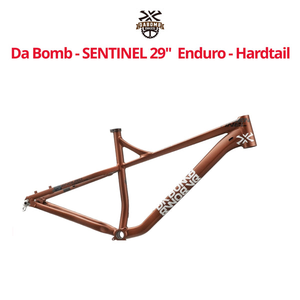 enduro hardtail mountain bike