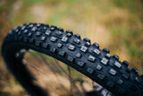 Delium Tires - Rugged Adventure - Bikecomponents.ca