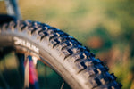 Delium Tires - Steady Adventure - Bikecomponents.ca