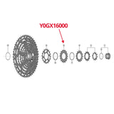 Shimano XT CS-M8100 & SLX CS-M7100 Sprocket 16T (Y0GX16000) - Bikecomponents.ca