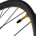 TOR - TR35 12x142 29" rear wheel, XD, HG or MICRO SPLINE - Bikecomponents.ca